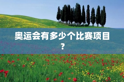奥运会有多少个比赛项目？