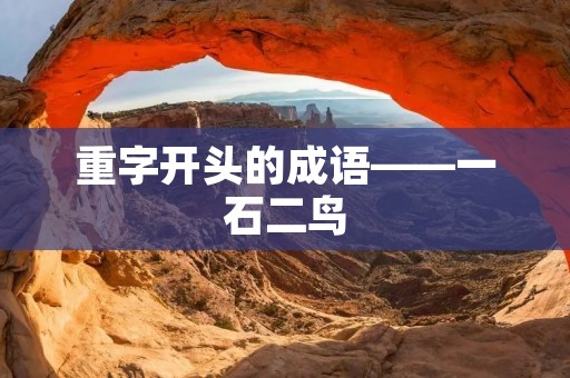 重字开头的成语——一石二鸟