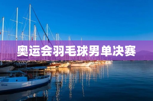 奥运会羽毛球男单决赛：谁将成为历史的一部分？