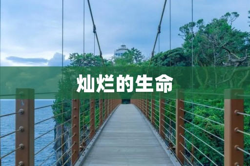 灿烂的生命:探寻光芒背后的意义