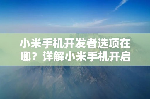 小米手机开发者选项在哪?详解小米手机开启开发者模式