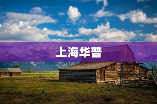 上海华普:中国汽车行业的领军企业 上海华普:中国汽车行业的领军企业
