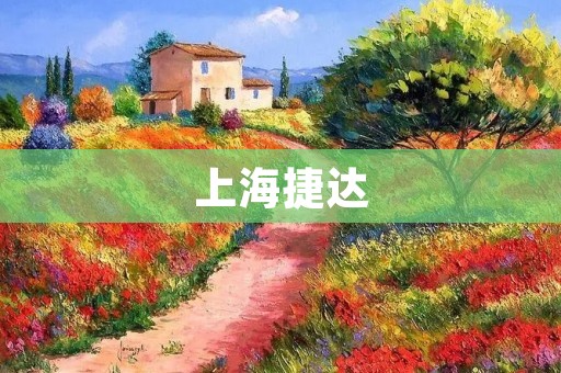 上海捷达：从起步到崛起的企业之路