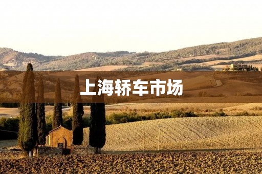 上海轿车市场:品牌竞争激烈,消费者需谨慎选择 上海轿车市场:品牌竞争激烈,消费者需谨慎选择
