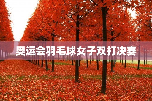 奥运会羽毛球女子双打决赛:中国队夺冠,向世界展示实力 奥运会羽毛球女子双打决赛:中国队夺冠,向世界展示实力