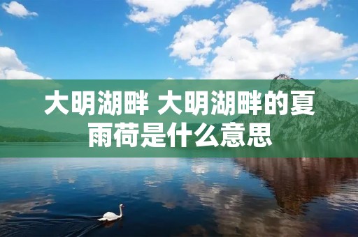 大明湖畔 大明湖畔的夏雨荷是什么意思