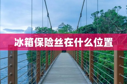 冰箱保险丝在什么位置