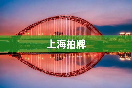 上海拍牌：房价飙升背后的真相