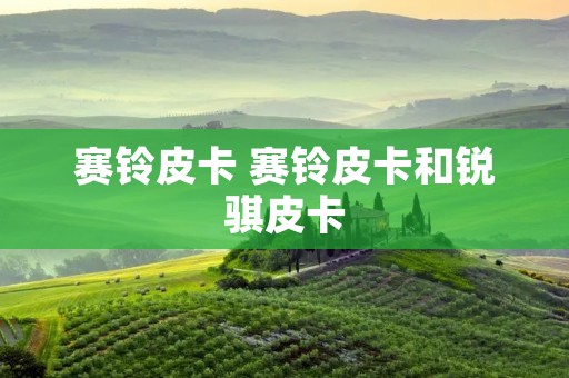 赛铃皮卡 赛铃皮卡和锐骐皮卡 赛铃皮卡 赛铃皮卡和锐骐皮卡