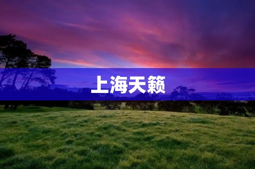上海天籁:品质与舒适并存的豪华轿车 上海天籁:品质与舒适并存的豪华轿车