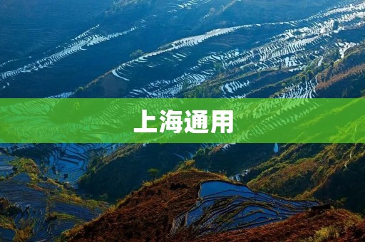 上海通用:中国汽车业的翘楚 上海通用:中国汽车业的翘楚