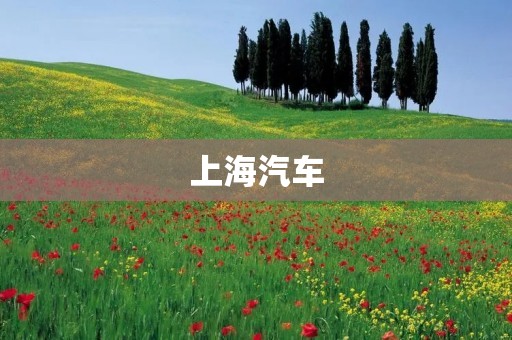 上海汽车：中国汽车行业的领军者