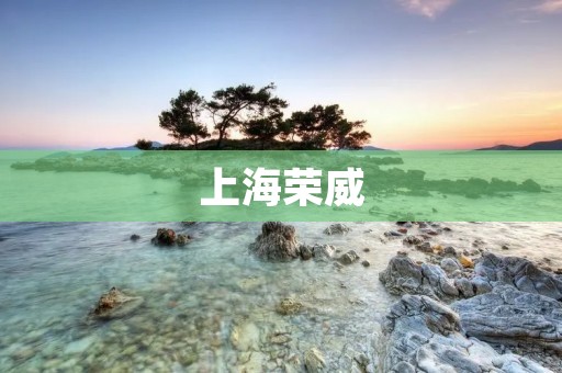 上海荣威:中国汽车行业的新兴力量 上海荣威:中国汽车行业的新兴力量