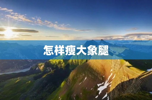 怎样瘦大象腿:600个字的详细描述 怎样瘦大象腿:600个字的详细描述