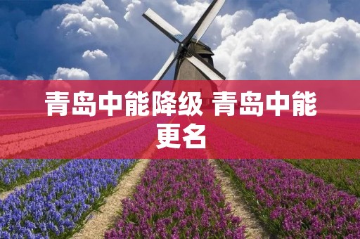 青岛中能降级 青岛中能更名