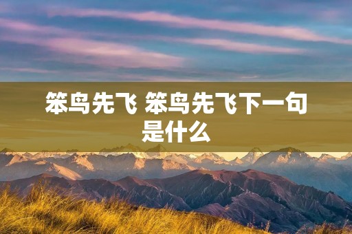 笨鸟先飞 笨鸟先飞下一句是什么