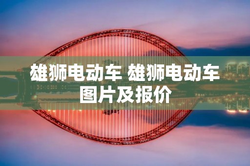 雄狮电动车 雄狮电动车图片及报价