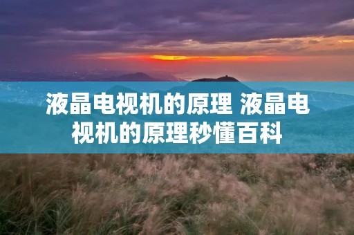液晶电视机的原理 液晶电视机的原理秒懂百科 液晶电视机的原理 液晶电视机的原理秒懂百科