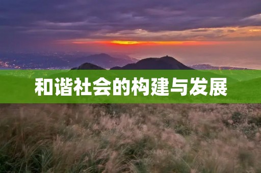 和谐社会的构建与发展