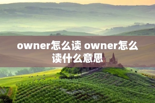 owner怎么读 owner怎么读什么意思
