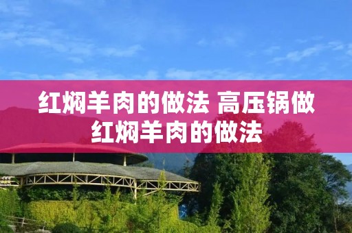 红焖羊肉的做法 高压锅做红焖羊肉的做法