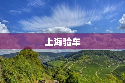 上海验车：检验车辆安全的必要步骤
