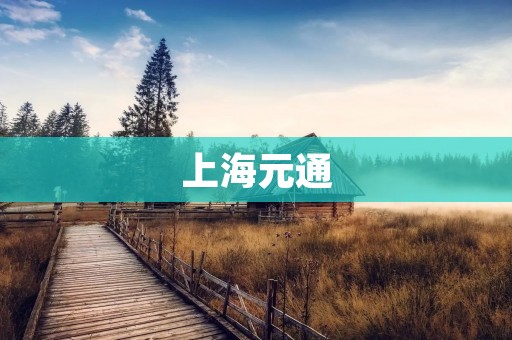 上海元通:科技创新引领产业升级 上海元通:科技创新引领产业升级