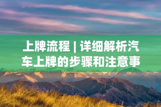 上牌流程 | 详细解析汽车上牌的步骤和注意事项