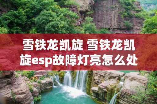 雪铁龙凯旋 雪铁龙凯旋esp故障灯亮怎么处理