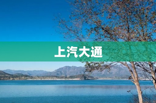 上汽大通:打造高品质商用车引领者 上汽大通:打造高品质商用车引领者