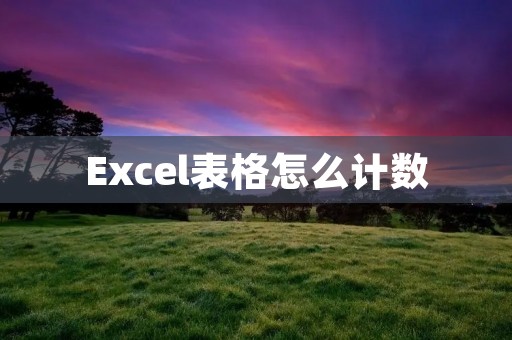 Excel表格怎么计数