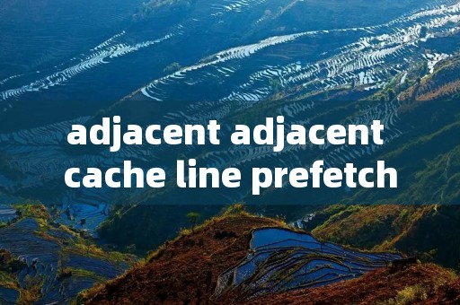 adjacent adjacent cache line prefetch adjacent adjacent cache line prefetch