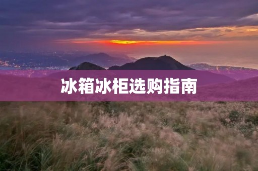 冰箱冰柜选购指南：如何选择适合自己的品牌？