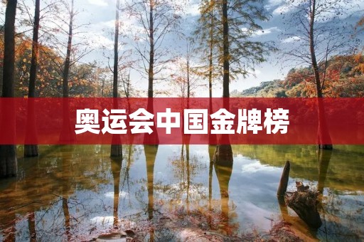 奥运会中国金牌榜：中国体育的崛起