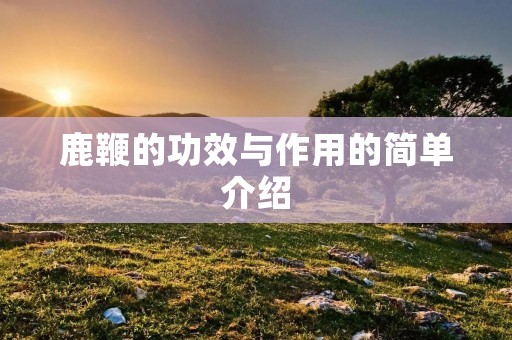 鹿鞭的功效与作用的简单介绍