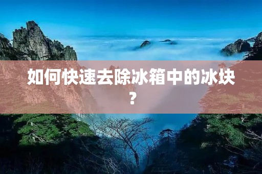 如何快速去除冰箱中的冰块？