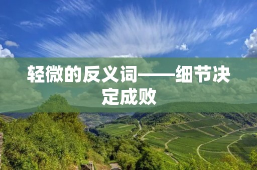轻微的反义词——细节决定成败