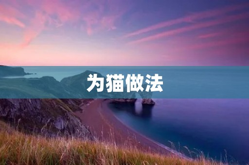 为猫做法：让你的猫咪更健康