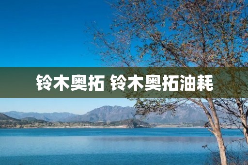 铃木奥拓 铃木奥拓油耗 铃木奥拓 铃木奥拓油耗
