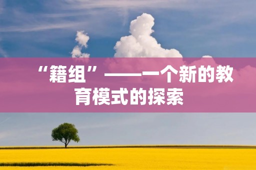 “籍组”——一个新的教育模式的探索 “籍组”——一个新的教育模式的探索