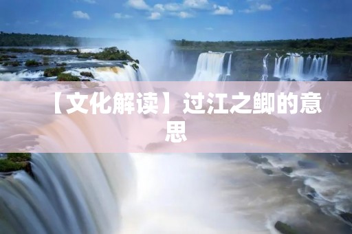 【文化解读】过江之鲫的意思