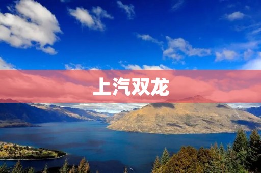 上汽双龙:挑战市场,以性能为核心的品牌 上汽双龙:挑战市场,以性能为核心的品牌