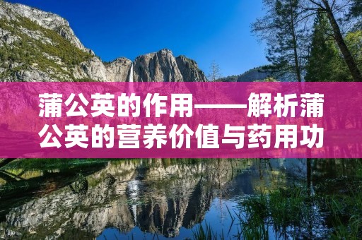 蒲公英的作用——解析蒲公英的营养价值与药用功效 蒲公英的作用——解析蒲公英的营养价值与药用功效