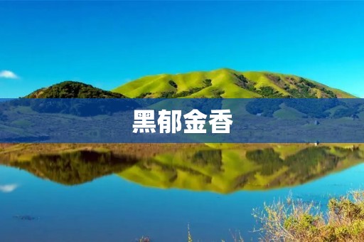 黑郁金香:深邃之美 黑郁金香:深邃之美