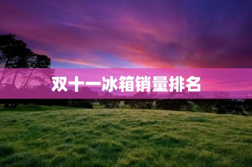 双十一冰箱销量排名：哪些品牌成为了消费者的首选？