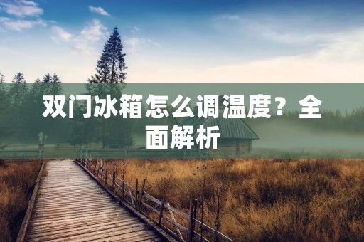双门冰箱怎么调温度？全面解析