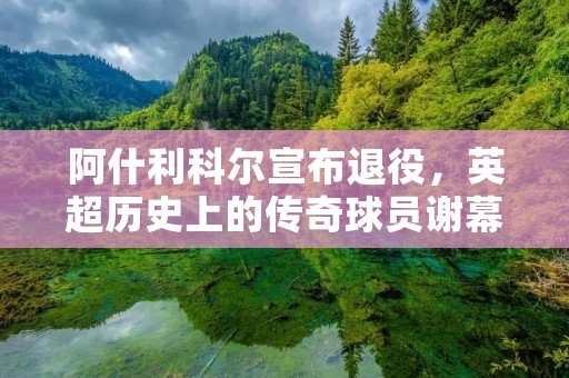 阿什利科尔宣布退役,英超历史上的传奇球员谢幕 阿什利科尔宣布退役,英超历史上的传奇球员谢幕