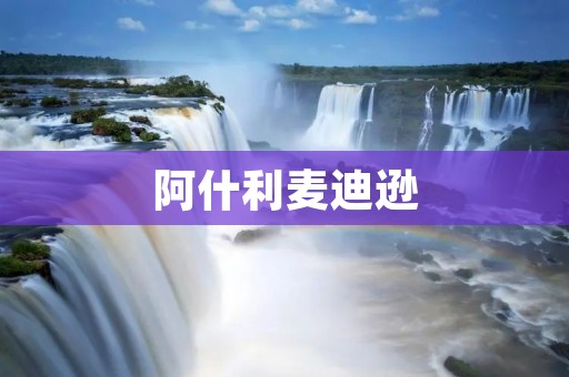 阿什利麦迪逊:颠覆性的时尚品牌 阿什利麦迪逊:颠覆性的时尚品牌