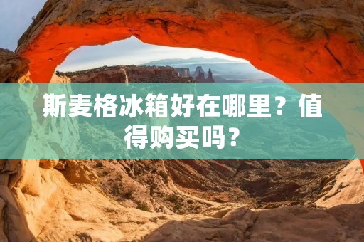 斯麦格冰箱好在哪里？值得购买吗？