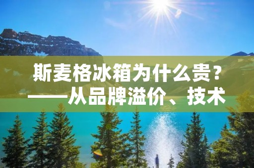 斯麦格冰箱为什么贵？——从品牌溢价、技术投入、设计理念等多方面分析